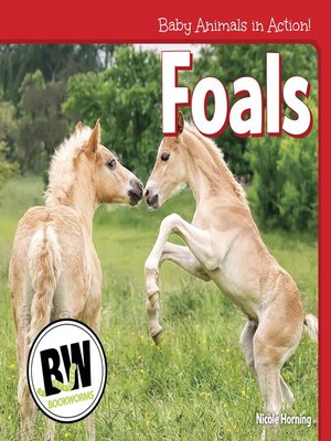 cover image of Foals